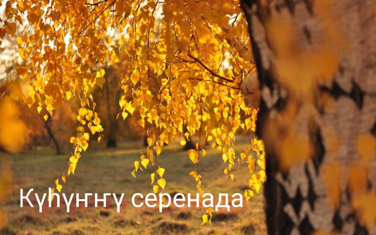 InShot_20231005_183821942