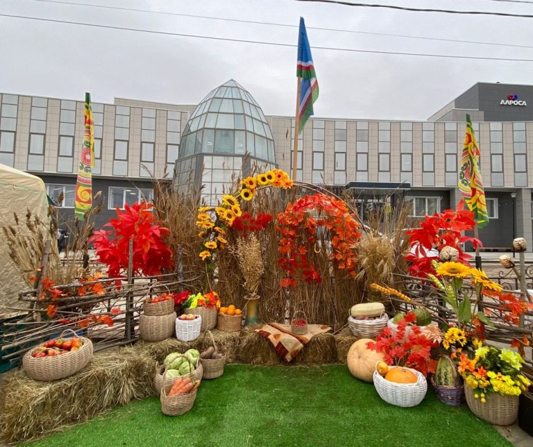 WhatsApp Image 2025-09-27 at 12.00.26