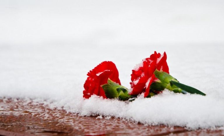 74c2a76bed40ef99e5b7a3eab1e81dfbedf9f10c