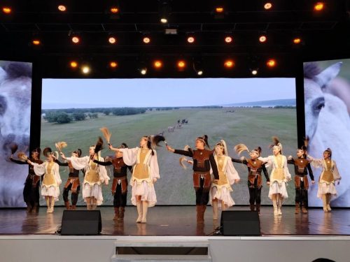 5460865812819733370-1024x768